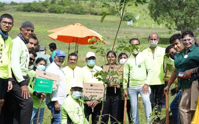 Blogs - Grape County Eco Resort & Villas - Resort in Nashik Adopt a Tree with Grape County Eco Resort & Spa: Planting Roots, Growing Futures