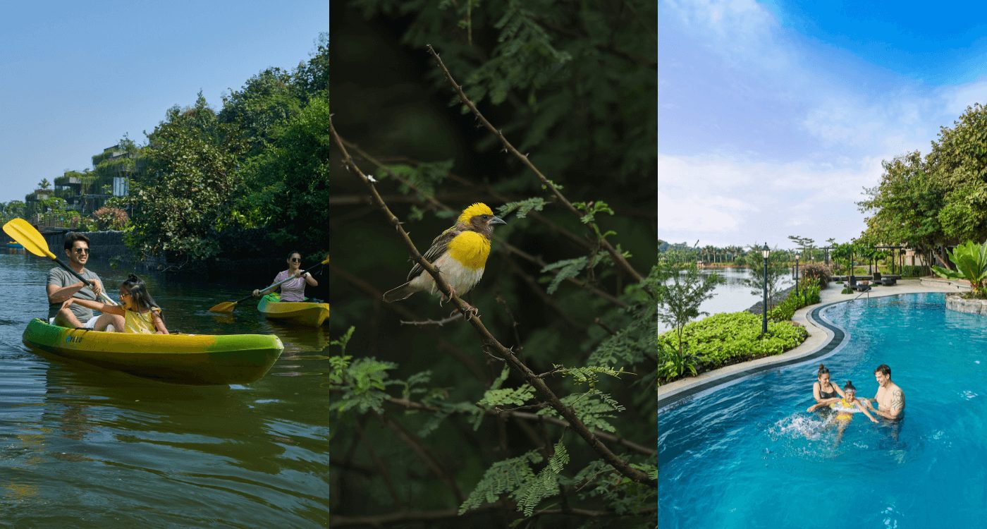Kayaking, Grape County