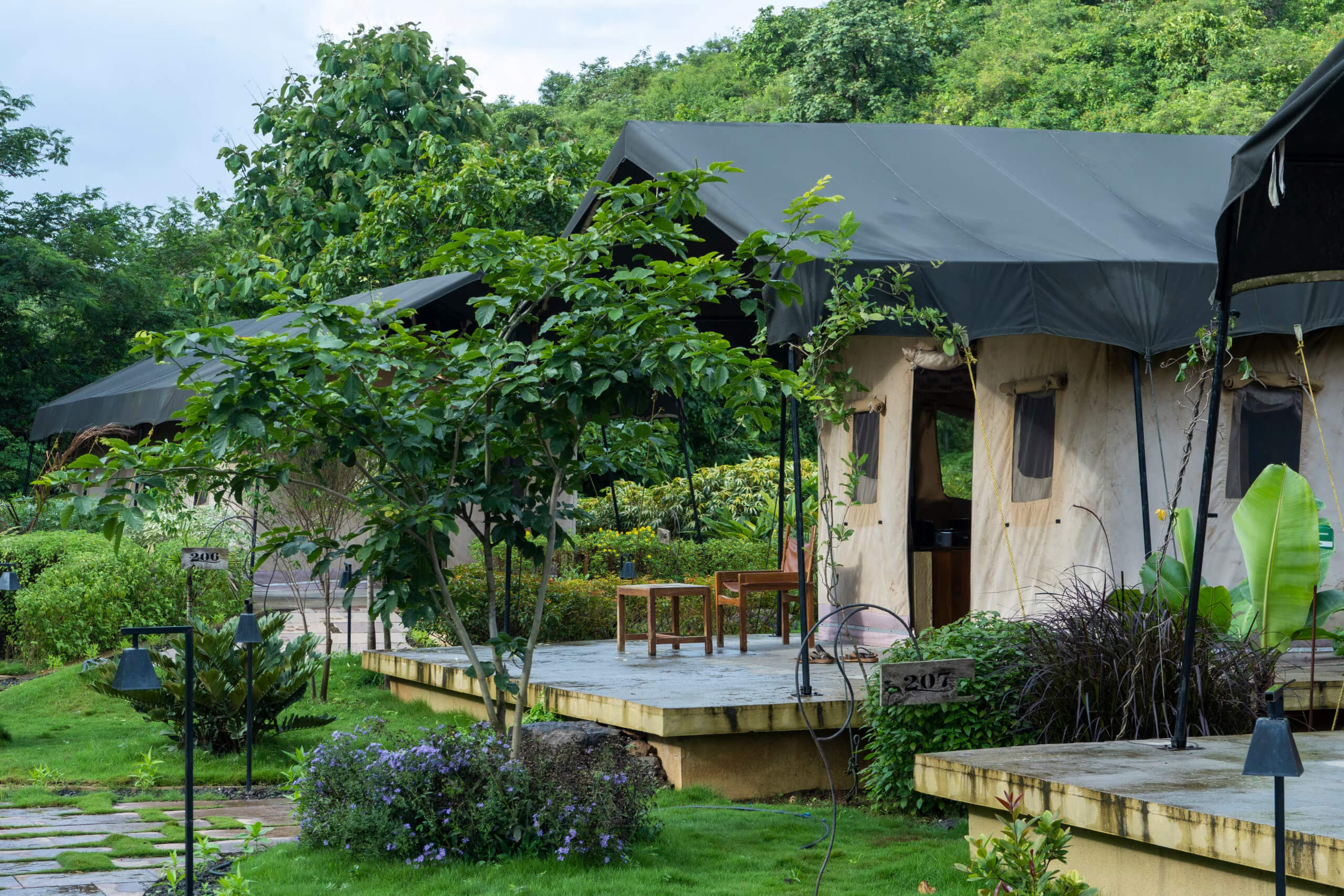 Forest Tent (3) Forest Tent 3 1 - Forest Tents - Grape County Eco Resort & Villas - Resort in Nashik