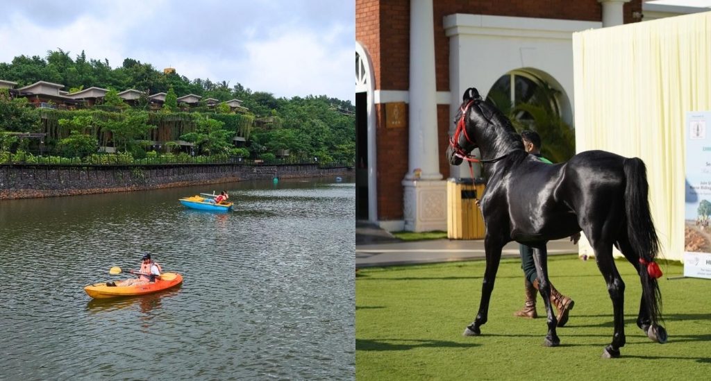 Horse riding in India