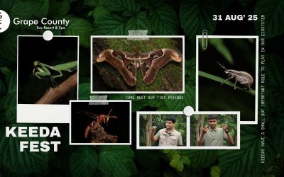 Blogs - Grape County Eco Resort & Villas - Resort in Nashik Keeda Fest 2025: Where Tiny Heroes Take the Spotlight at the Best resort in India