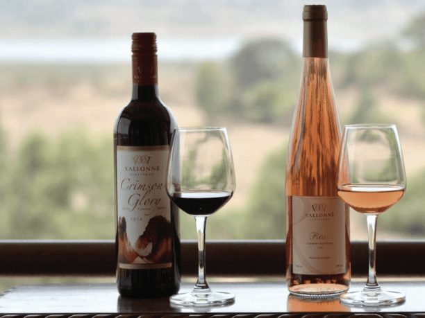 post-2-image post 2 image - Corporate Events - Grape County Eco Resort & Villas - Resort in Nashik