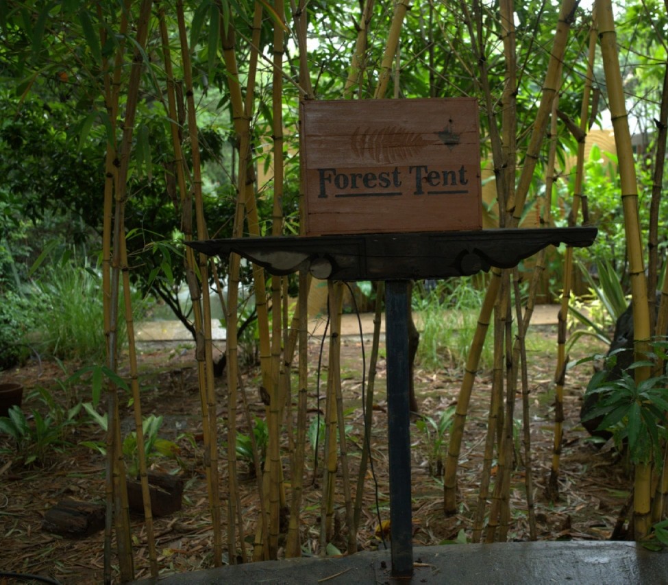 Forest Tent 2 Forest Tent 2 - Forest Tents - Grape County Eco Resort & Villas - Resort in Nashik