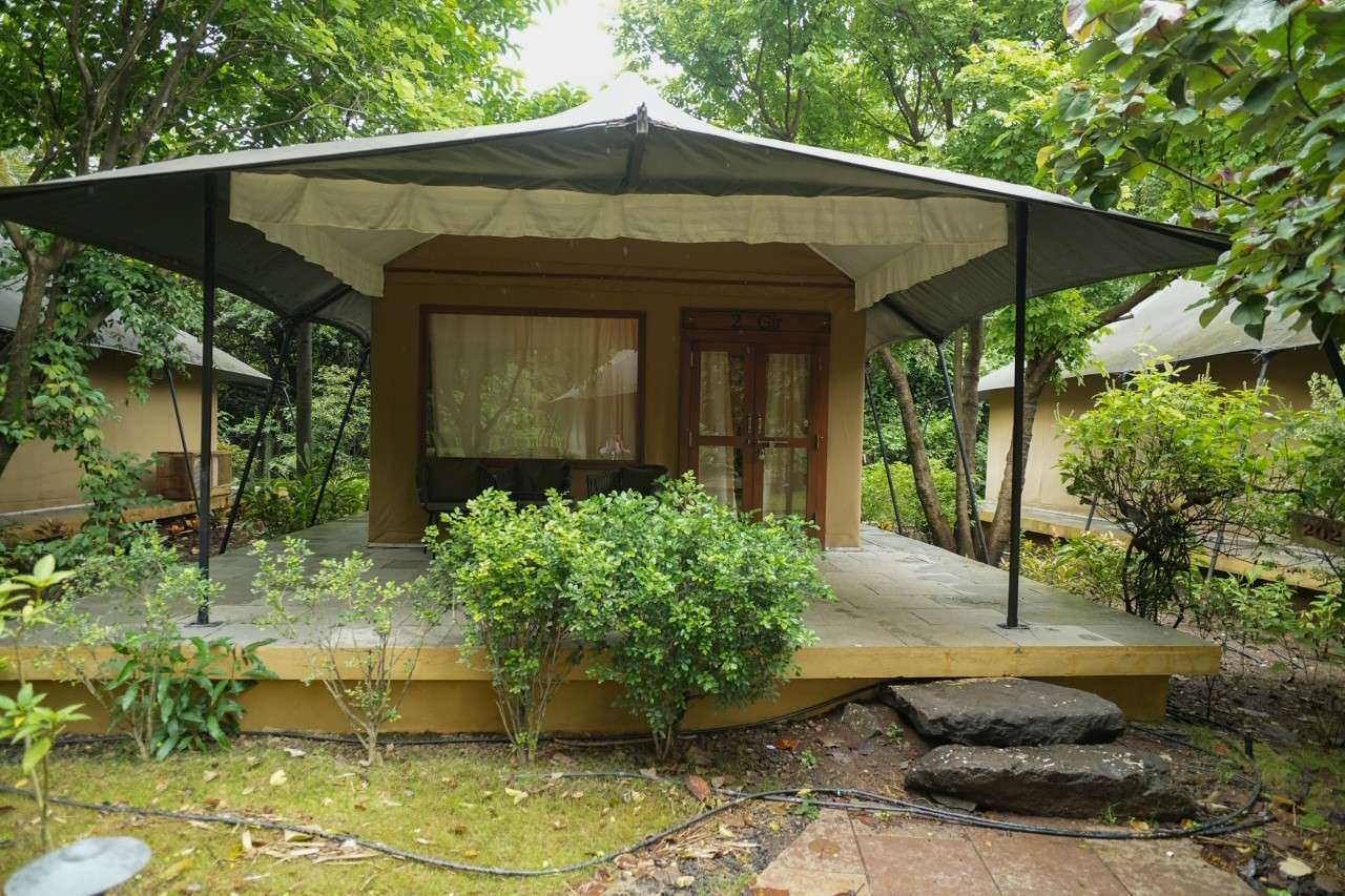 Forest Tent 9 2 - Rooms - Grape County Eco Resort & Villas - Resort in Nashik