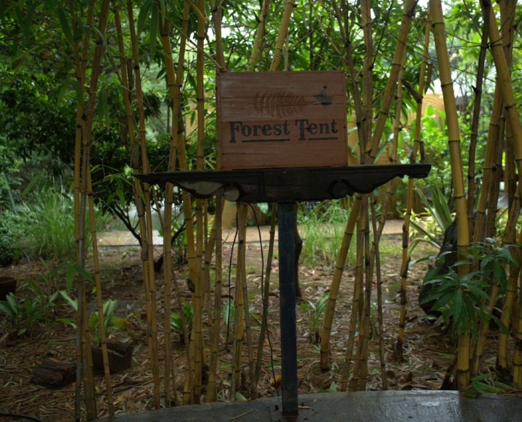 Forest Tent img Forest Tent img - Forest Tents - Grape County Eco Resort & Villas - Resort in Nashik