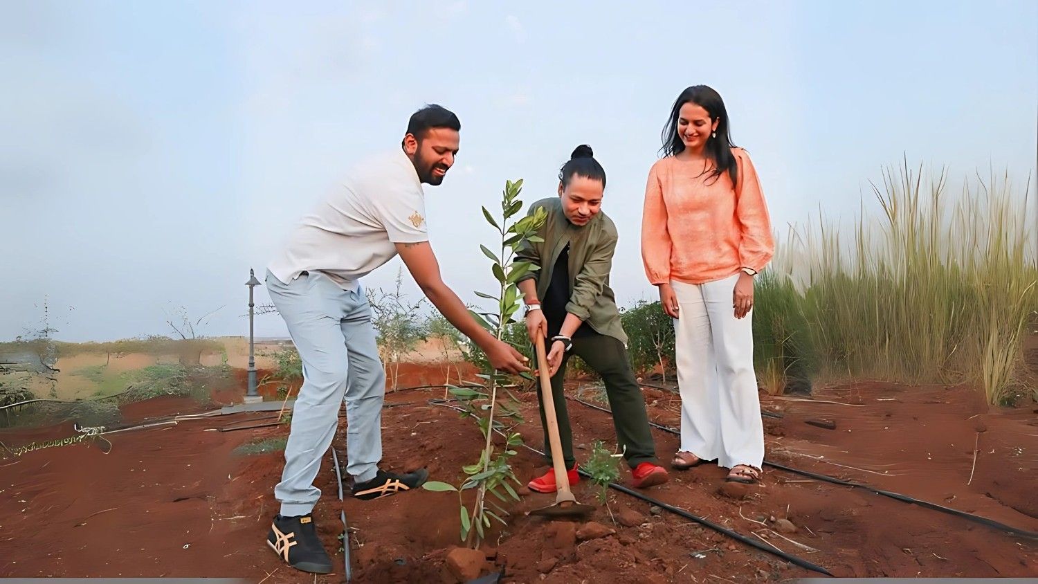 adopt a tree, Grape County
