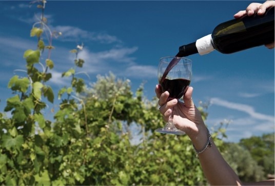 Local-Wineries Local Wineries - Experiences - Grape County Eco Resort & Villas - Resort in Nashik
