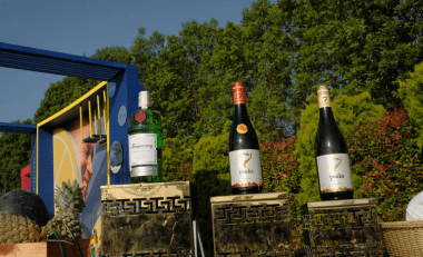 oktobrew-season5 (4) oktobrew season5 4 - Oktobrew Season 5 - Grape County Eco Resort & Villas - Resort in Nashik