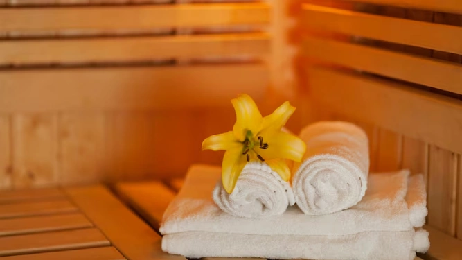 sauna image - Earth Spa - Grape County Eco Resort & Villas - Resort in Nashik