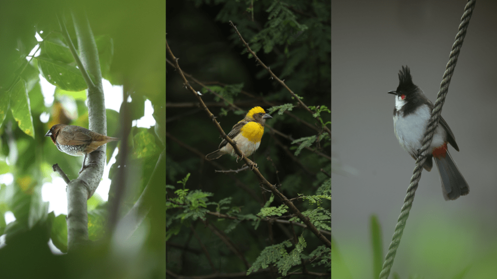 Unforgettable Experiences at Grape County – Where Nature Turns Every Moment into a Story - Grape County Eco Resort & Villas - Resort in Nashik Grape County - Nature Trails