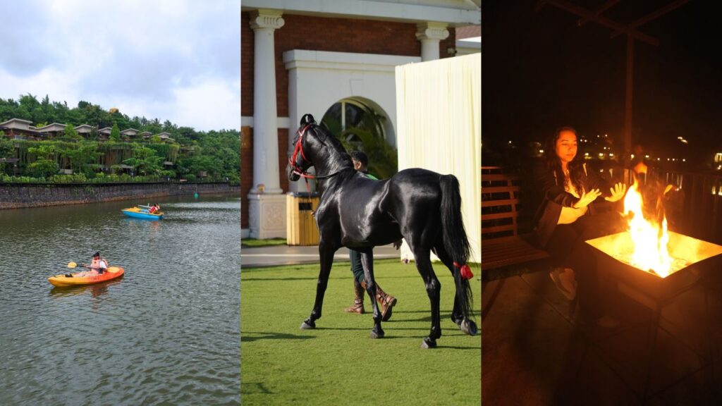 Grape County - Experiences