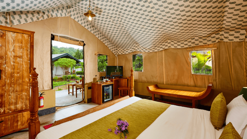 Grape County - Forest Tents