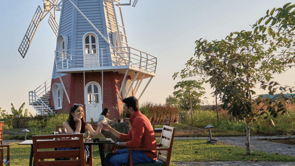 Grape County - Memories Quietly Take Shape