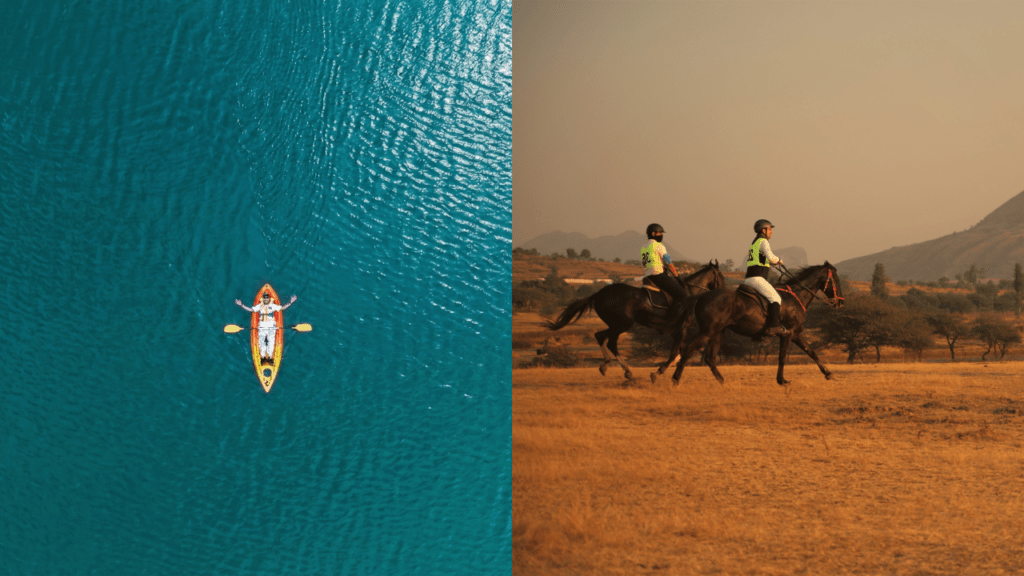 Grape County - Experiences