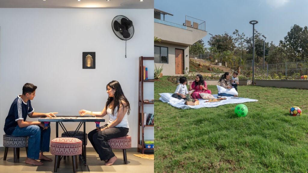 Grape County - Comfort and Memories