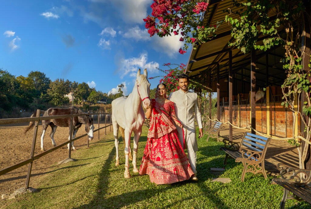 Grape County - Imagine Your Own Wedding