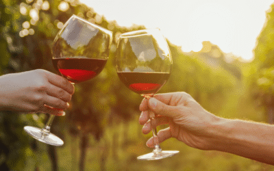 Nashik – India’s Own Wine City