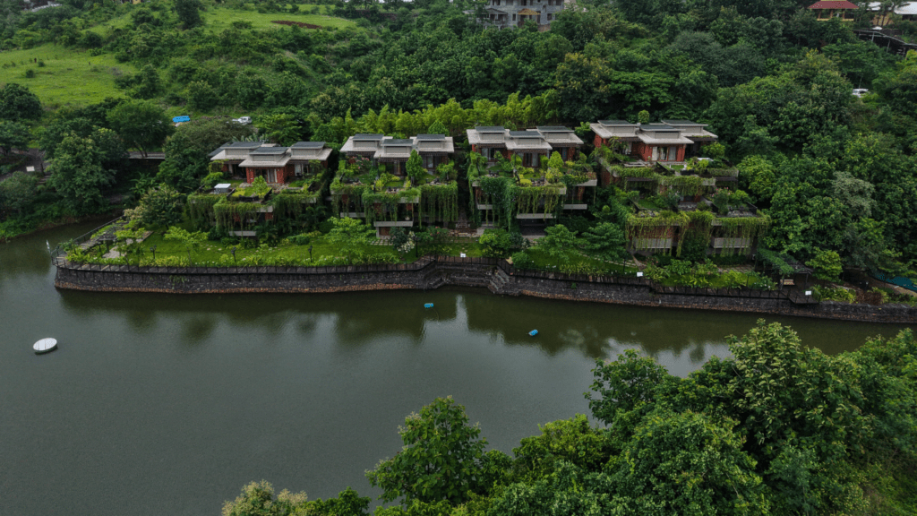 Monsoon Birds and Insects at Grape County: Discover Nature’s Hidden Wonders at the Best Resort in Nashik for Family - Grape County Eco Resort & Villas - Resort in Nashik 221 - Monsoon Birds and Insects at Grape County: Discover Nature’s Hidden Wonders at the Best Resort in Nashik for Family - Grape County Eco Resort & Villas - Resort in Nashik