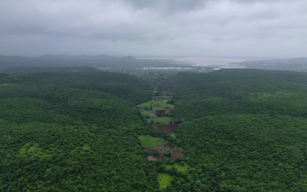 Misty treks, hidden waterfalls, lush green landscapes and unforgettable family experiences at Grape County