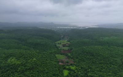 Misty treks, hidden waterfalls, lush green landscapes and unforgettable family experiences at Grape County