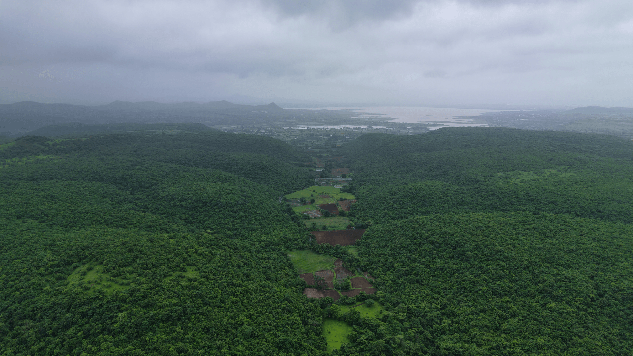 Grape County_Lush Greenery, Waterfalls & Monsoon At Grape County
