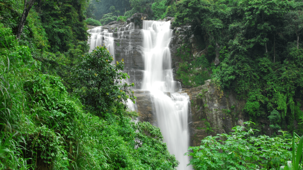248 - Misty treks, hidden waterfalls, lush green landscapes and unforgettable family experiences at Grape County - Grape County Eco Resort & Villas - Resort in Nashik