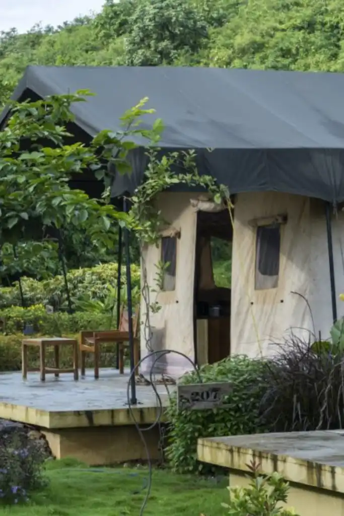 Forest-tents-at-Grape-County-Resort-by-Green-Spaces-Pure-Eco-India-1024x683 Forest tents at Grape County Resort by Green Spaces Pure Eco India 1024x683 2 - Home - Grape County Eco Resort & Villas - Resort in Nashik