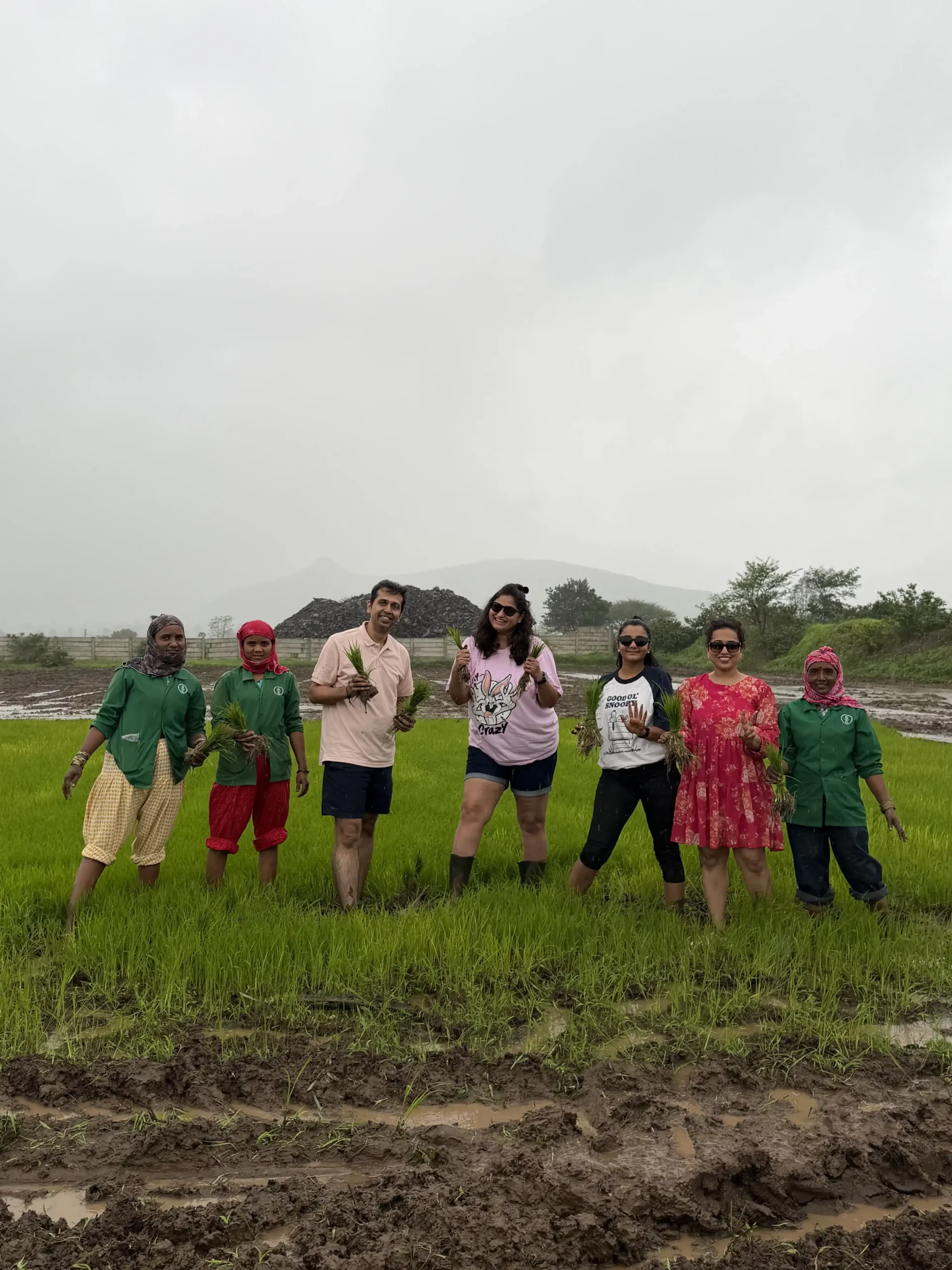 Rice farming 1 scaled - Experiences - Grape County Eco Resort & Villas - Resort in Nashik