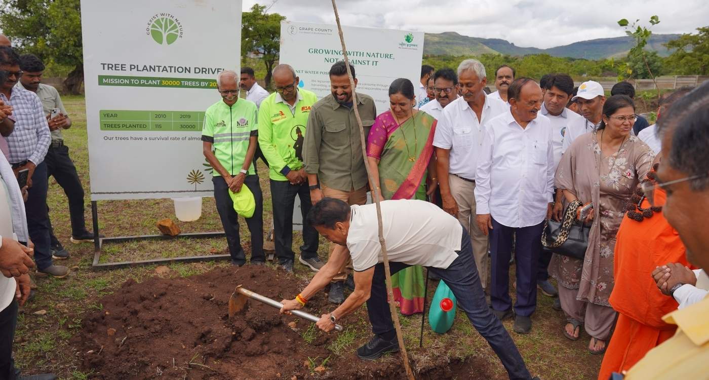 Tree Plantation Is the Most Effective Solution for Environmental Conservation -  - Grape County, a lifestyle that coexists with nature
