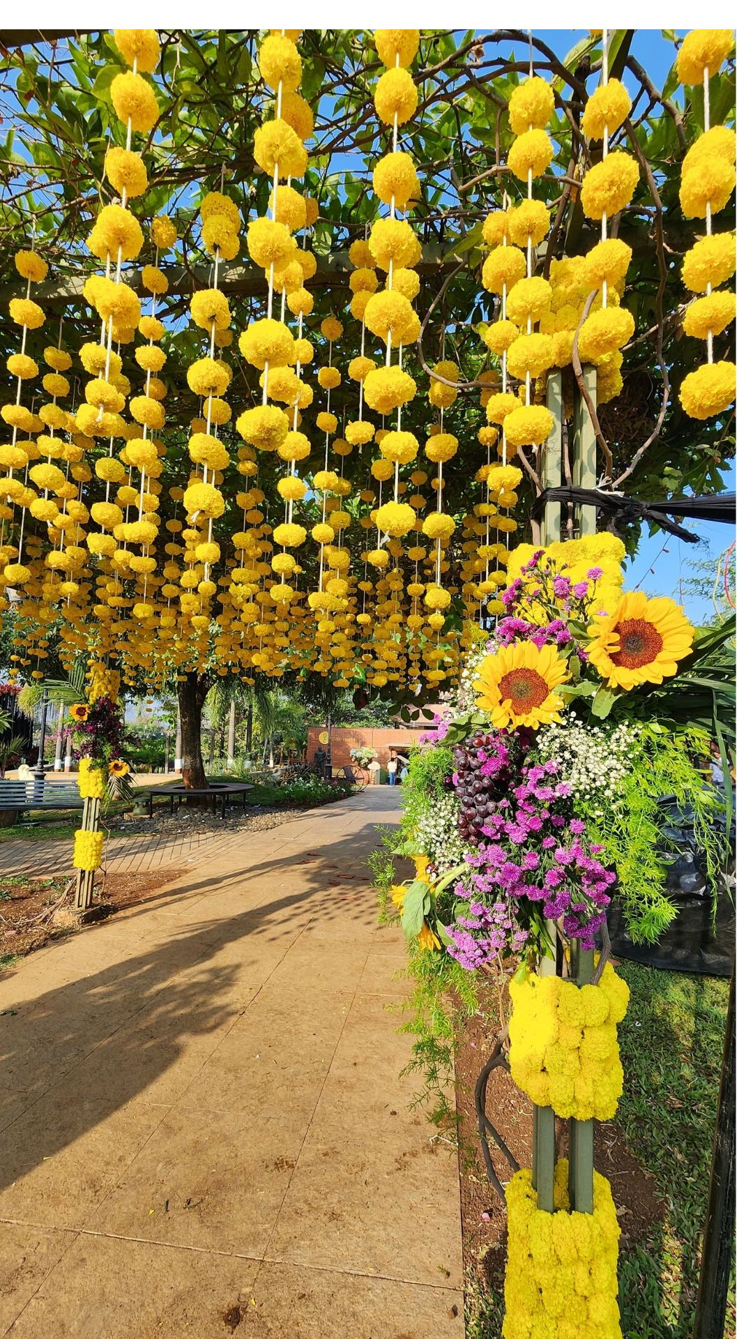 Untitled design1 Untitled design1 - County Ranch - Grape County Eco Resort & Villas - Resort in Nashik