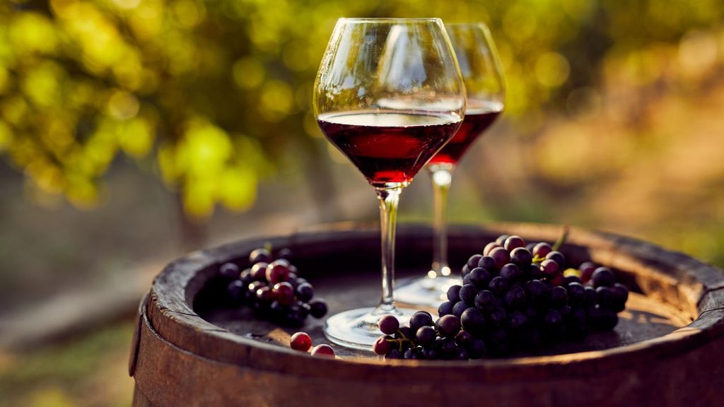 Nashik – India’s Own Wine City - Grape County Eco Resort & Villas - Resort in Nashik image17 1 - Nashik – India’s Own Wine City - Grape County Eco Resort & Villas - Resort in Nashik
