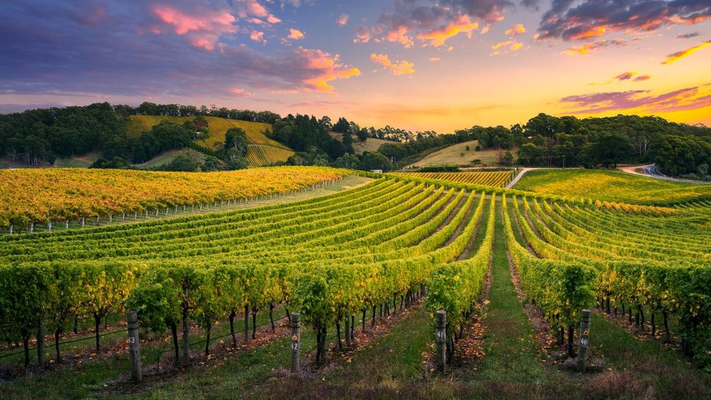 Nashik – India’s Own Wine City - Grape County Eco Resort & Villas - Resort in Nashik image33 1 - Nashik – India’s Own Wine City - Grape County Eco Resort & Villas - Resort in Nashik