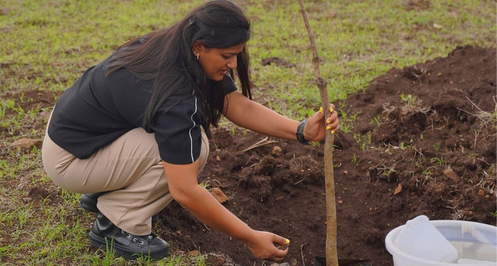 Tree Plantation at the Best Resort in Nashik for Family: Growing Forests, Growing Futures at Grape County - Grape County Eco Resort & Villas - Resort in Nashik image33 - Tree Plantation at the Best Resort in Nashik for Family: Growing Forests, Growing Futures at Grape County - Grape County Eco Resort & Villas - Resort in Nashik